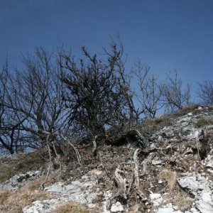 10.3.2012 13:01, autor: Teoretik