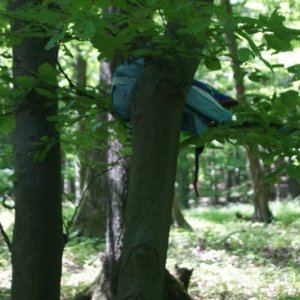 6.5.2012 10:30, autor: Vaniš / Máme obe vlajky