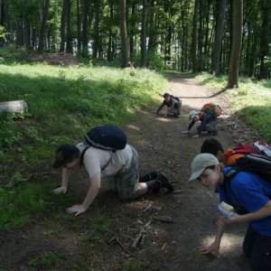 6.5.2012 11:22, autor: Vaniš / Zachraňujeme sa pred Elfmi