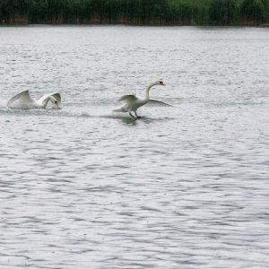 12.5.2012 13:59, autor: Roman Paulovic