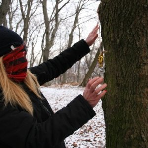 8.12.2012 14:55, autor: Teoretik