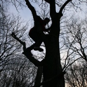 8.12.2012 16:35, autor: Teoretik