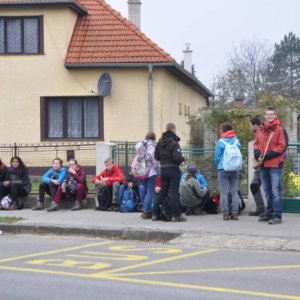 31.10.2014 9:58, autor: Tuti / A ide sa na prvý výlet!