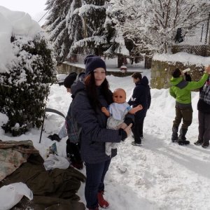 31.1.2015 10:25 /           