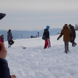 1.2.2015 11:56 /           