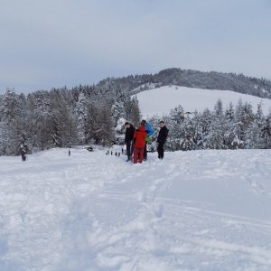 1.2.2015 12:35 /           