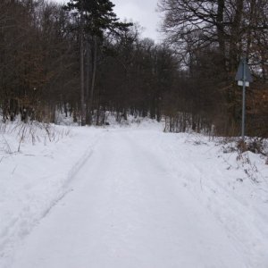 8.2.2015 11:51, autor: Vaniš /  