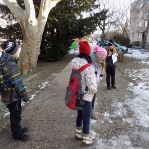 14.2.2015 9:50, autor: Doktor / Začíname v Modre