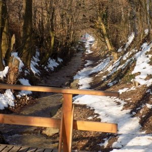 14.2.2015 10:09, autor: Doktor / Zaujímava cestička popri potoku