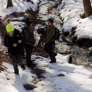 14.2.2015 10:31, autor: Doktor / Pauza pri potoku