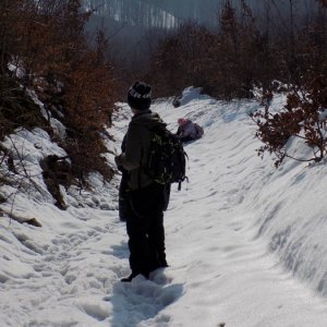 14.2.2015 11:05, autor: Doktor / Kadiaľ to vlastne ideme...?