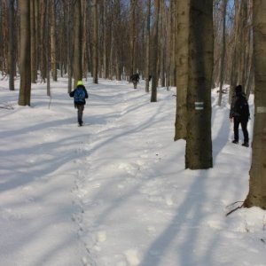 14.2.2015 12:55, autor: Lucia / Stúpame ďalej smerom k Veľkej Homoli