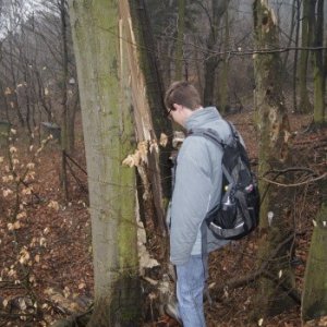 Výlet vĺčat a včielok (15.3.2015)