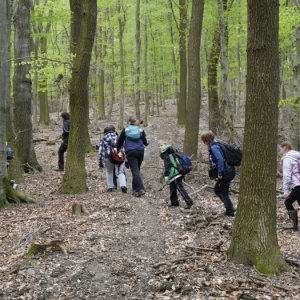 18.4.2015 11:26, autor: Škrečok / Postupujeme terénom