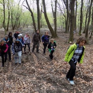 18.4.2015 11:33, autor: Doktor / Cesta sa kdesi stratila