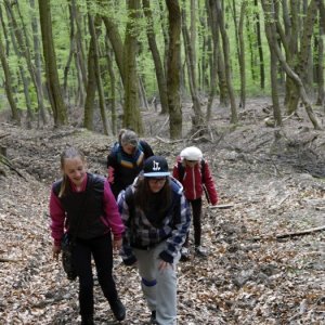 18.4.2015 11:33, autor: Škrečok