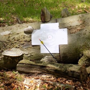 18.4.2015 12:20, autor: Doktor / Terč bol skutočne provizórny