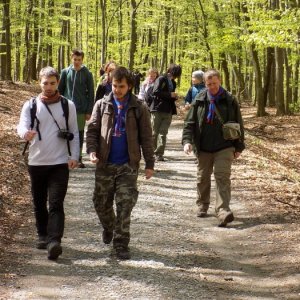 18.4.2015 13:17, autor: Doktor /           