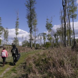 18.4.2015 16:09, autor: Škrečok