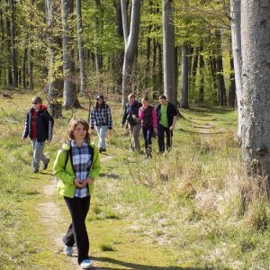 18.4.2015 16:17, autor: Doktor /           