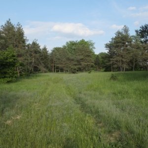 8.5.2015 17:44, autor: Teoretik / Táborisko na dolnej zemi? 