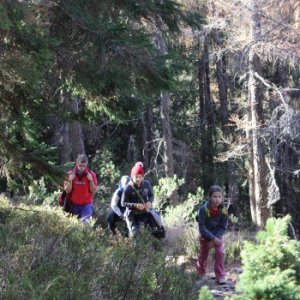 31.10.2015 10:42, autor: Lucia / A už sa driapeme na Holý Vrch
