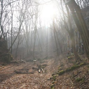 26.11.2016 13:00, autor: Vaniš /  