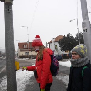 28.1.2017 10:21, autor: Škrečok / Počuj mia toto stlačím a hneď skočí zelená uvidíš.