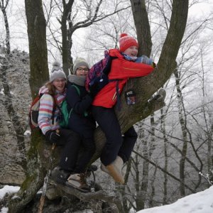 28.1.2017 10:55, autor: Škrečok / Plamienky a ich povesť o zabudnutom koni na Bielom kameni.