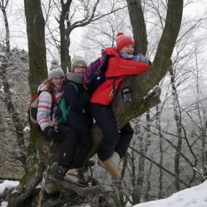 28.1.2017 10:55, autor: Škrečok / Plamienky a ich povesť o zabudnutom koni na Bielom kameni.