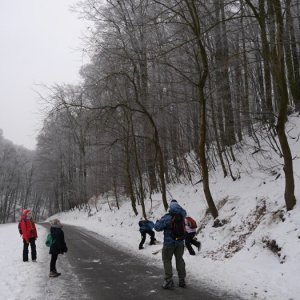 28.1.2017 14:11, autor: Škrečok / Kto ju zhodí môže ju zjesť.