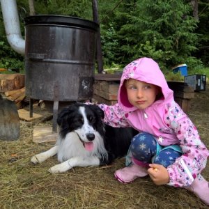 7.7.2017 15:27, autor: Amigo