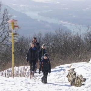 A už sme na Devínskej Kobyle / DSC04418