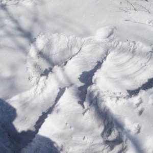 Aj anjeli sa dali robiť, toľko snehu bolo / DSC04425