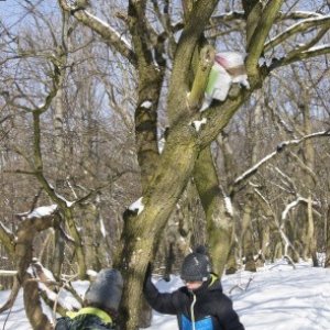 Ako len dostaneme dolu tie škatule? / DSC04446