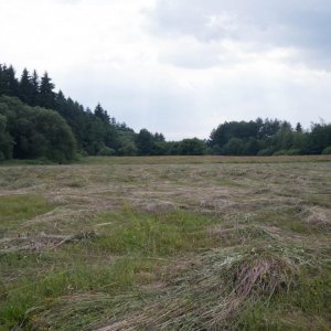 '001- 1000543' / Dátum: 29.6.2018