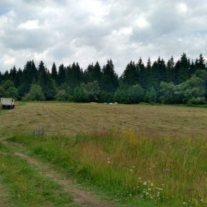 '004-IMG 20180629 160444 HDR' / Dátum: 29.6.2018
