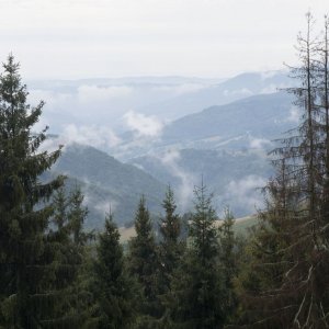 ' 1010289' / Dátum: 24.8.2018