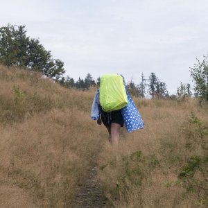' 1010312' / Dátum: 24.8.2018