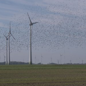Cyklovýlet (9.9.2018)