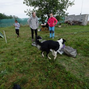Jasper všetkým pomáha / '09-DSCF8052' / Autor: Teoretik / Dátum: 22.9.2018