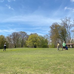 'IMG 4516' / Dátum: 12.4.2025