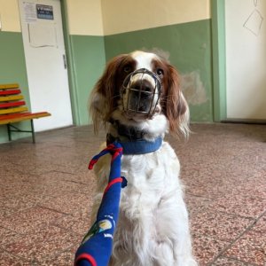 '10' / Dátum: 29.3.2026