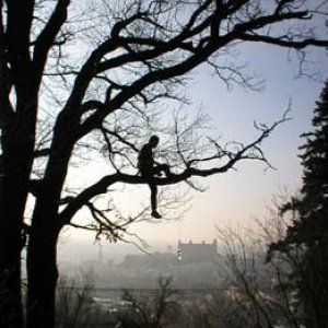 Hotovo