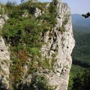Skratka...
