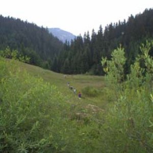 A od rezbára sme sa vydali skratkou cez roklinu...