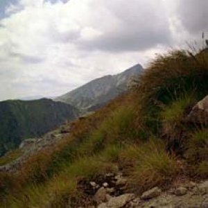 Pohľad na Kriváň zo Soliska