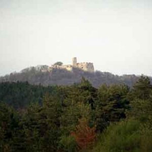 Hrad Tematín (čistenie hradov 2004)