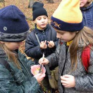 Úlohou bolo zjesť misku kukurice iba pomocou paličiek