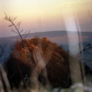 24.3.2005  19:52 / Pohľad chrobáka